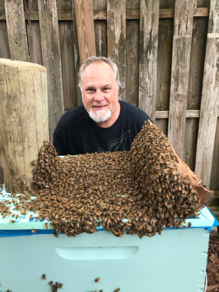 Dave Hall and Honey Bees