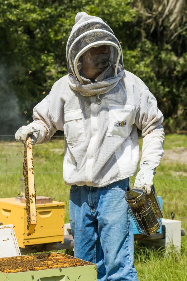 chris glochau bee augustine honey co.