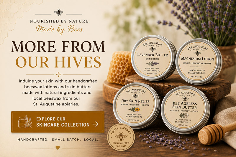 Bee Augustine Honey Co. handcrafted beeswax skin care collection featuring Lavender Butter, Magnesium Lotion, Dry Skin Relief, and Bee Ageless Skin Butter in metal tins with a call to action to explore locally made skincare products crafted with beeswax from St. Augustine apiaries.